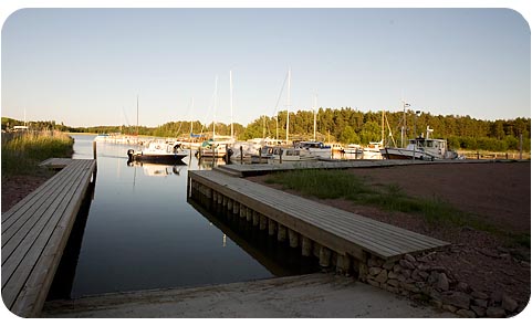 Fiiliskuva1